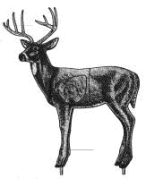 Standing Buck